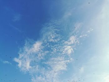 Low angle view of birds flying in sky