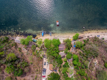 High angle view of road along trees