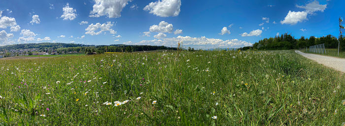 Scenic view of field against sky