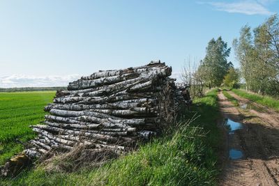Scenic view of land against clear sky