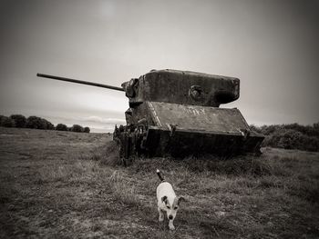 View of dog on field against sky