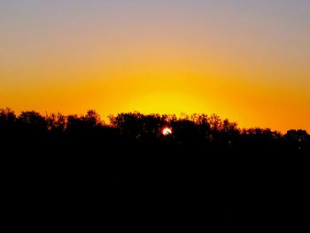 Silhouette trees against orange sky