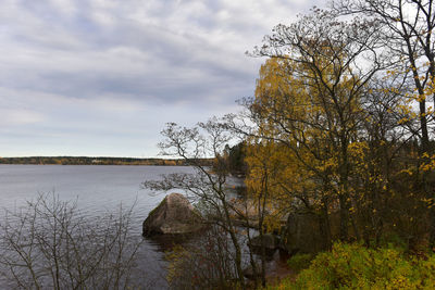 Bare tree by rocks against sky during autumn