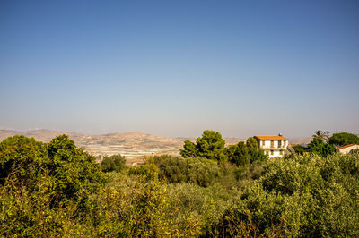 Trees and plants on landscape against clear sky