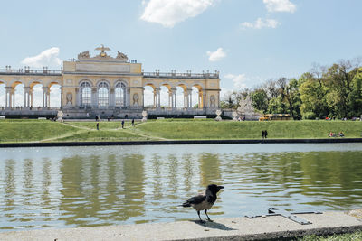 View of birds in lake