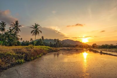 Scenic view of lake against sky during sunset