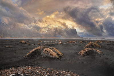View of grass on beach against stokksnes cape and vestrahorn mountain at sunset