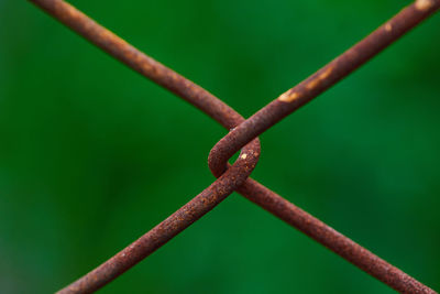 Close-up rust-eaten the old steel fence on green background