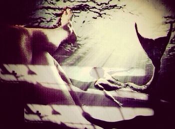 indoors