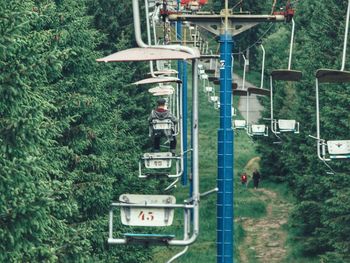 View of railroad track amidst trees in forest