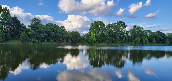 Scenic view of lake by trees against sky