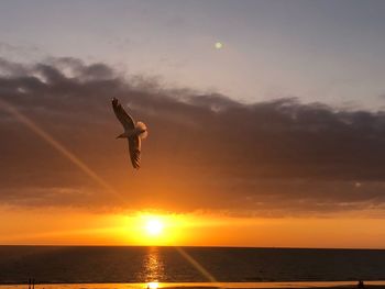 Silhouette bird flying over sea against sky during sunset