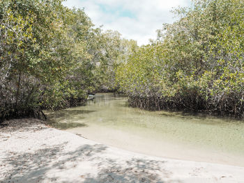 Scenic view of river against sky