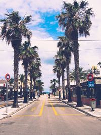 Palm trees by road in city against sky