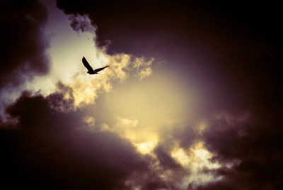 Low angle view of bird flying against cloudy sky