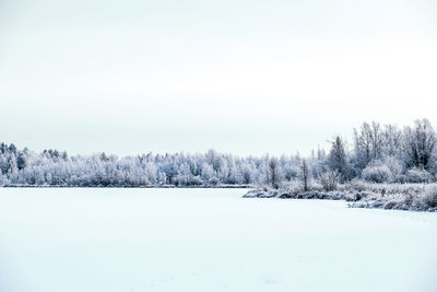 Snow covered land and trees against sky during winter