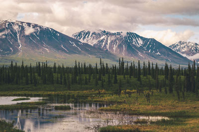 Scenic view of snowcapped mountains against sky