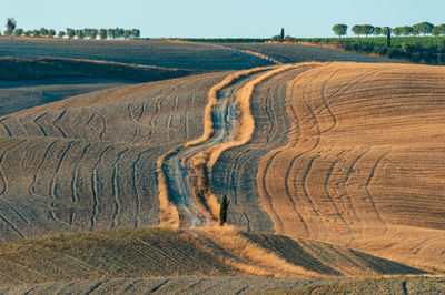 Wavy hills in tuscan farmland