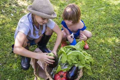 Siblings and vegetables in farm