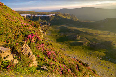 Scenic view of mountain range