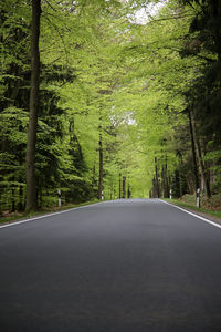 Road amidst trees