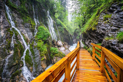 Low angle view of waterfall amidst trees in forest