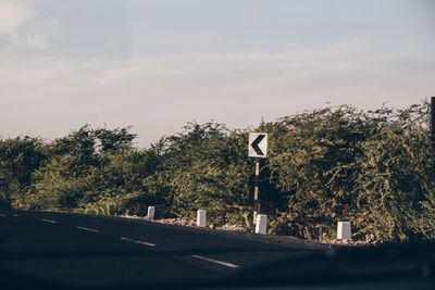 Road sign by trees against sky in city