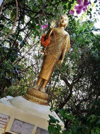 Low angle view of statue amidst plants against trees