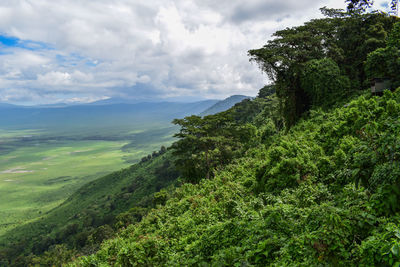 Scenic view of lush forest over a volcanic crater against blue sky with fluffy white clouds