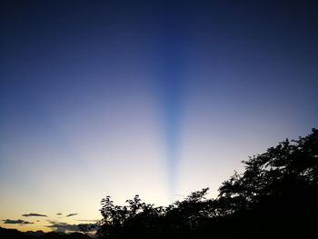 Low angle view of silhouette trees against clear sky