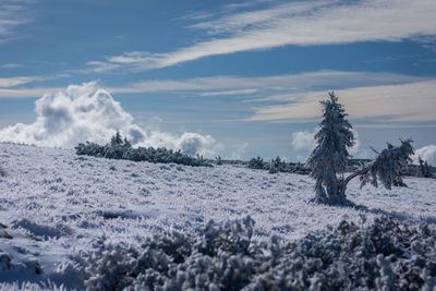 Scenic view of snow covered land against sky