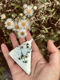 Close-up of hand holding white flower