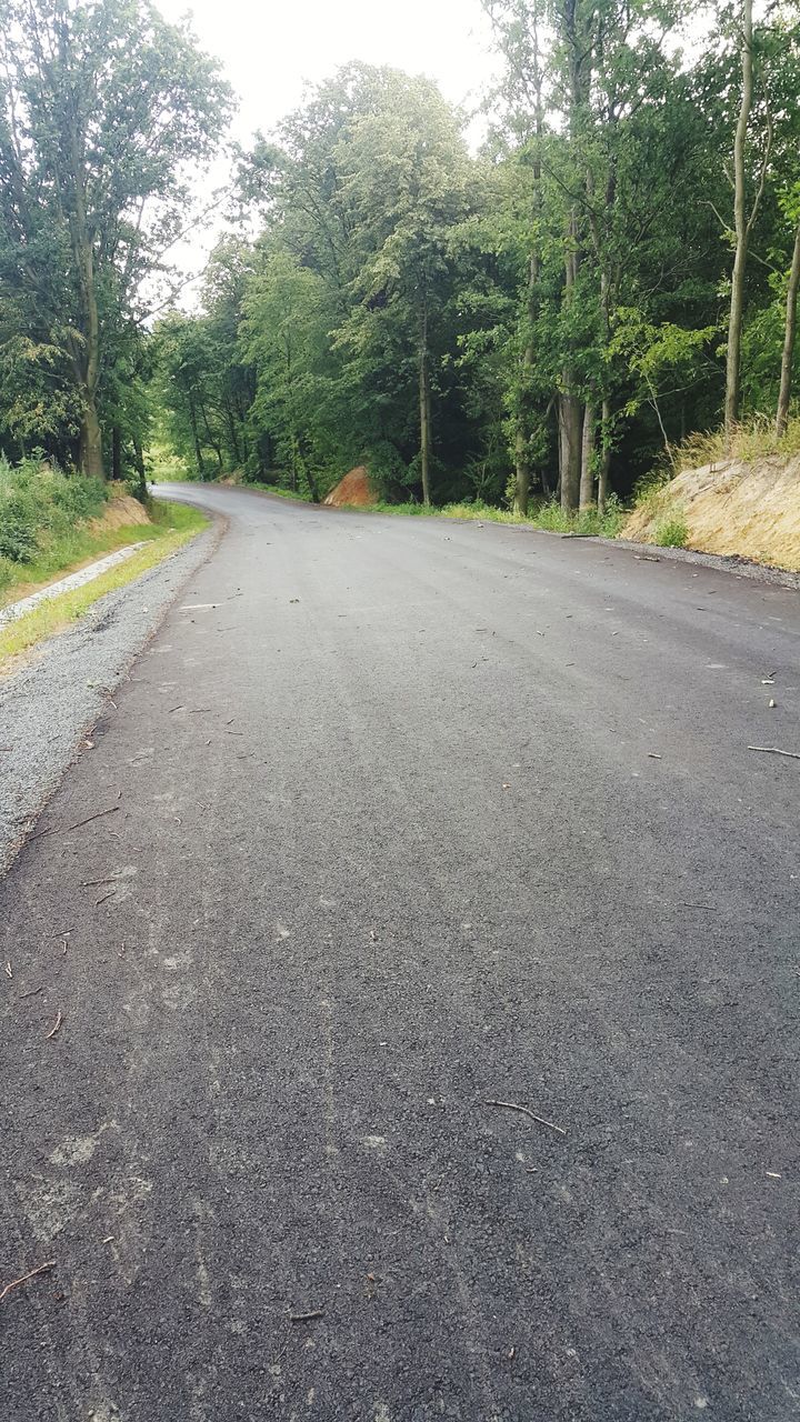 EMPTY ROAD ALONG TREES