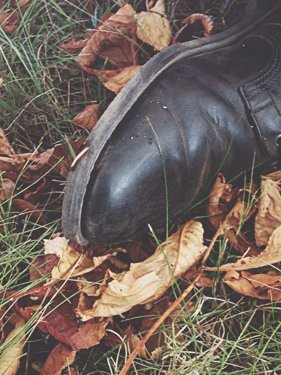 grass, leaf, field, abandoned, high angle view, shoe, obsolete, dry, damaged, close-up, dirty, messy, outdoors, day, dirt, ground, autumn, grassy, deterioration, no people
