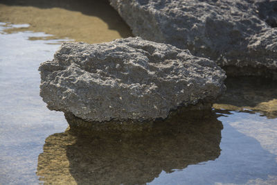 Close-up of rock on water