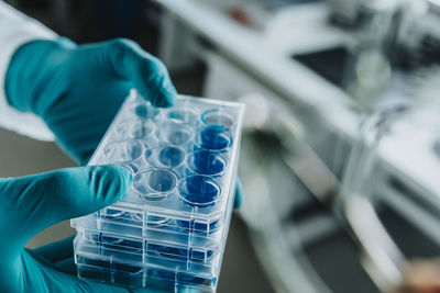 Scientist hand holding petri dish tray while standing at laboratory