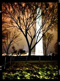 Bare trees against sky