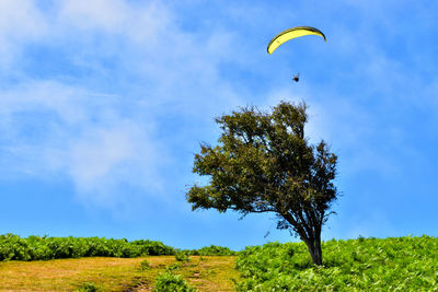 Low angle view of kite flying over trees on field against sky