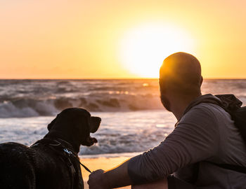 Dog on beach against sky during sunset