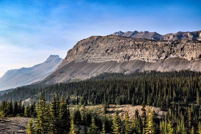 Scenic view of pine trees and mountains against sky