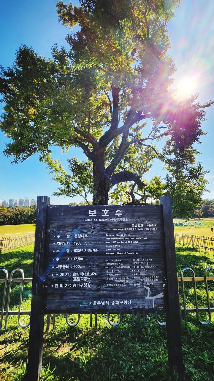 plant, tree, nature, text, sunlight, sky, communication, fence, lens flare, western script, no people, sign, day, sunbeam, sun, outdoors, grass, growth, gate, beauty in nature, information sign, green, tranquility, blue, bench, park, landscape