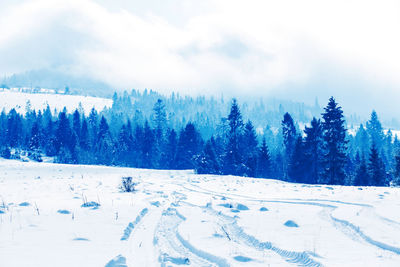 Trees on snow covered land against sky