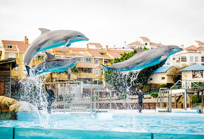 Water splashing in swimming pool against sky