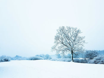 Bare tree on snow covered field against clear sky