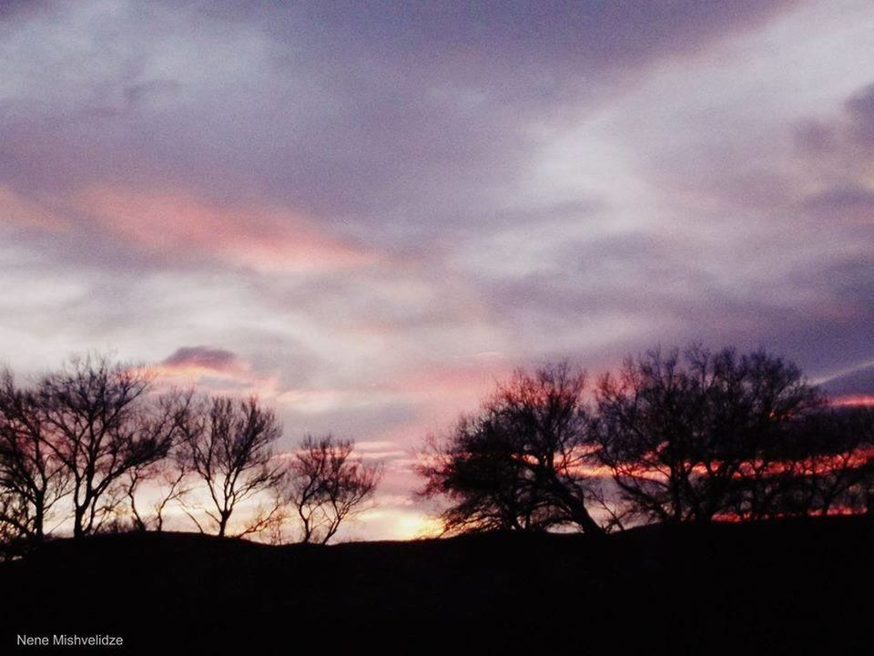 silhouette, sunset, tree, sky, bare tree, cloud - sky, tranquility, beauty in nature, scenics, tranquil scene, nature, cloudy, cloud, dusk, dramatic sky, idyllic, landscape, orange color, branch, outdoors