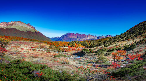 Scenic view of mountains against clear blue sky