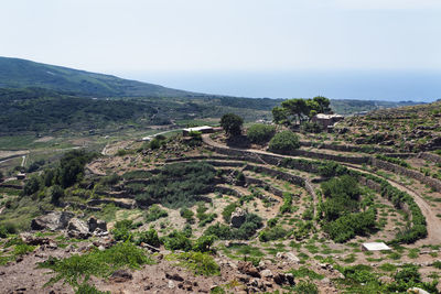 Scenic view of green landscape against sky