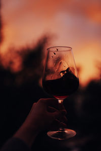 Close-up of hand holding wine glass