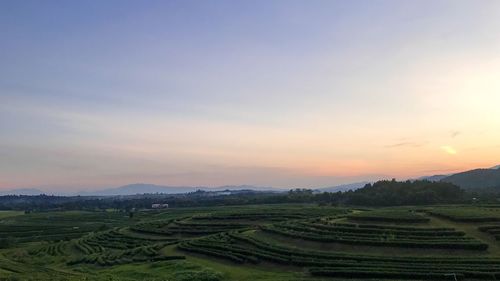 Scenic view of agricultural field against sky during sunset