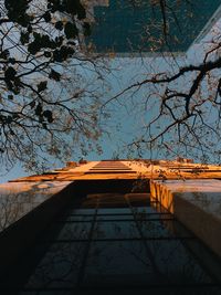 Reflection of bare trees in canal against sky